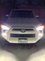 1 Pro H11 LED bulbs.jpg