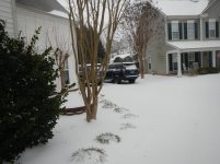 DSCN5683.jpg