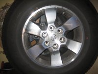 IMG_2981.jpg IMG_2981.jpg