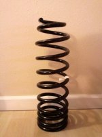 2011-01-12161240.jpg