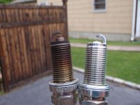 P5240194newSmall.jpg