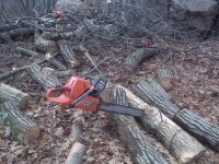 3 saws.jpg
