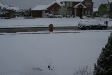IMG_2218.JPG