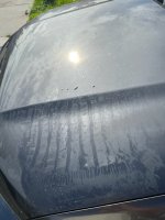 IMG_6612.jpeg