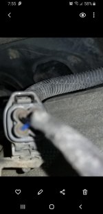 AF Sensor.jpg