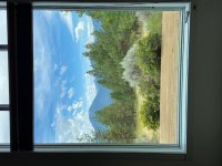 New Window View.JPG