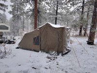 IMG_20201026_104149.jpg