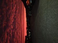 20230220_052056.jpg