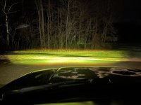 IMG_2310.jpg