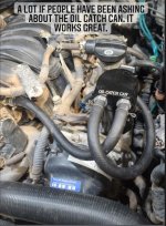 oil catch can pic.jpg