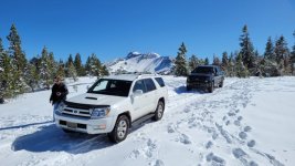 SnowToy1.jpg
