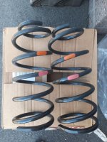 rearsprings.jpg