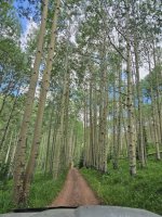 The Road Less Travelled.jpg