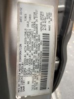 IMG_6397.jpeg