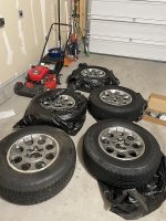 IMG_3182.jpg