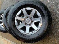 IMG_7955_cleaned.jpg