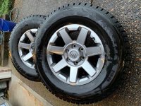 IMG_7956_cleaned.jpg