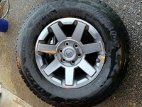 IMG_7957_cleaned.jpg