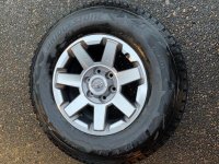 IMG_7958_cleaned.jpg