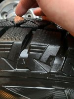 IMG_7951_cleaned.jpg