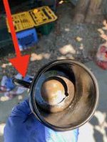 IMG_2066.jpeg