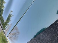 IMG_1012.jpg