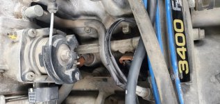 Crankshaft position sensor wire chewed.jpg