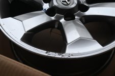 Z50_2590[1].jpg