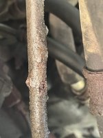 IMG_8092 Medium.jpeg