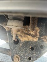 IMG_3217.jpeg