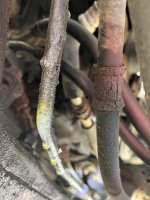 IMG_8097 Medium.jpeg