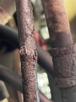IMG_8093 Medium.jpeg