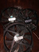IMG_20210911_200945886.jpg