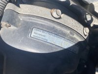 IMG_3204.jpeg