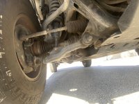 IMG_3217.jpeg