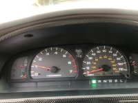 IMG_8195.jpg