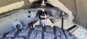 Rear Shocks.jpg