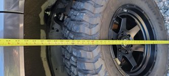 Rear height.jpg
