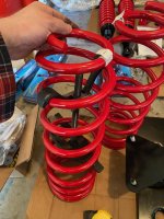 new rear coils.jpg
