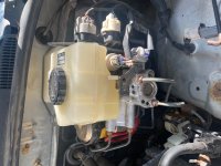 IMG_1516.jpeg