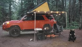 5. trail life-2.jpg