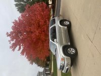 IMG_4894.jpeg