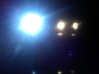 IMG-20110501-00149.jpg