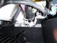 White Clip.jpg