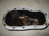 IMG_3581.jpg