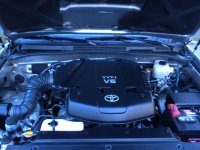 3-20-2010 036 rs.jpg