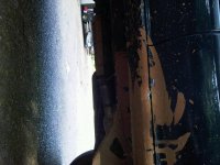 IMG00696-20110502-1004.jpg