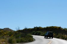 IMG_0309.jpg
