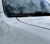 IMG_5780.jpg