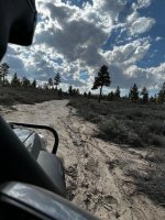 thumbnail-115.jpg